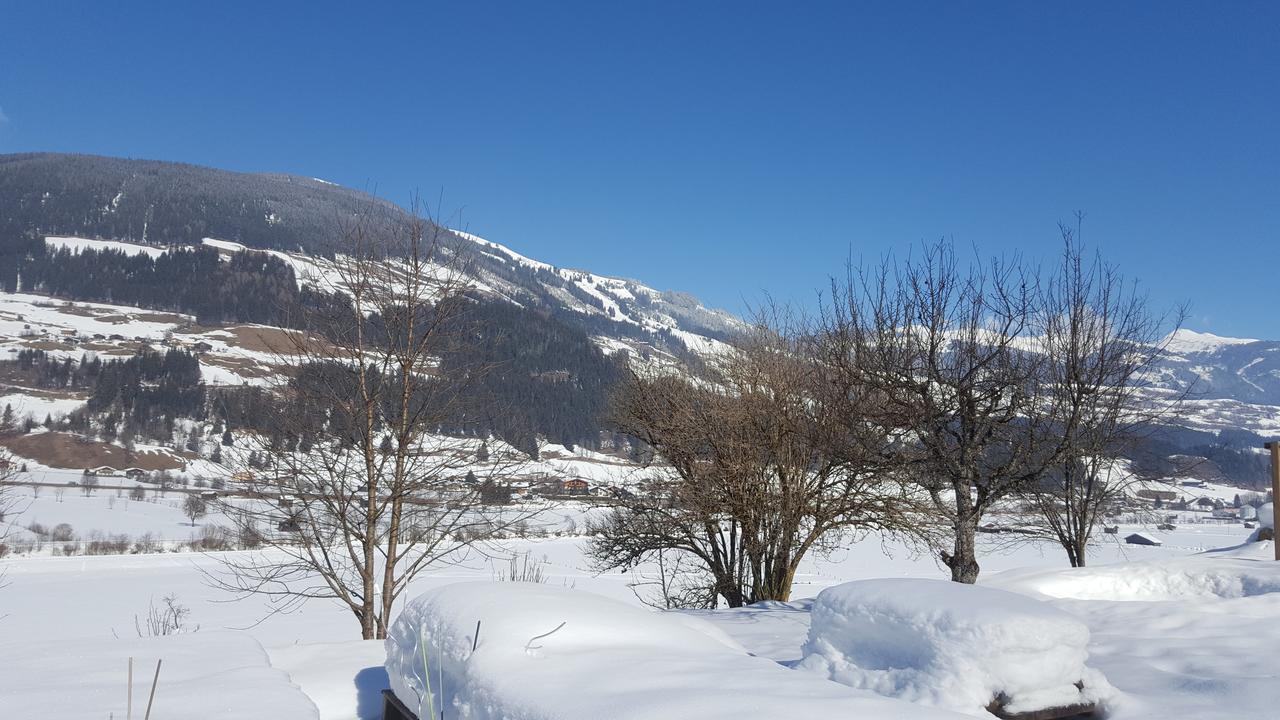 Fasserhof Bramberg am Wildkogel Eksteriør billede