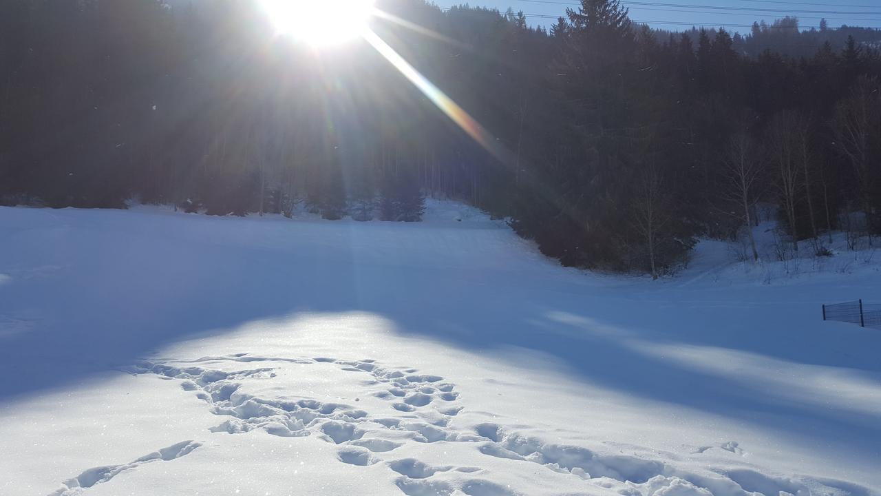Fasserhof Bramberg am Wildkogel Eksteriør billede